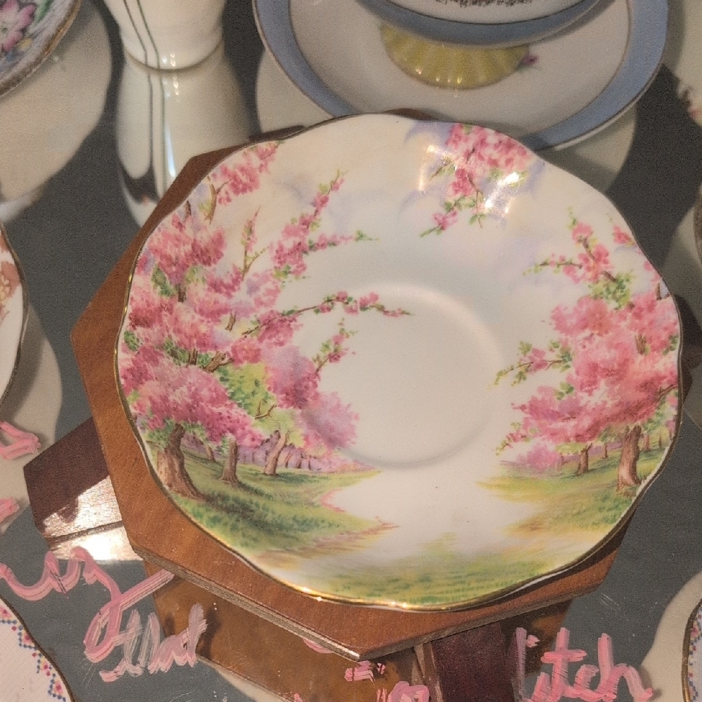 Royal Albert ?"Blossom Time" Bone China  Saucer